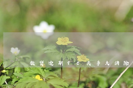 放贷逾期90天多久消除 放贷逾期90天多久消除