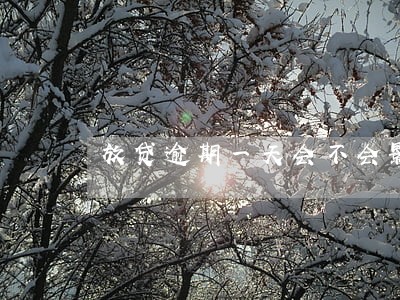 放贷逾期一天会不会影响考公务员 放贷逾期一天会不会影响考公务员