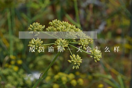 放贷逾期一天会怎么样 放贷逾期一天会怎么样