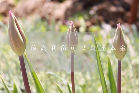 放高利贷可以只还本金 放高利贷可以只还本金
