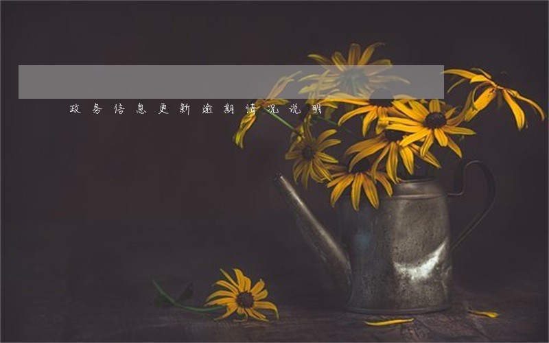 政务信息更新逾期情况说明 政务信息更新逾期情况说明