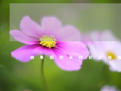 政务司司长约见立法会议员 政务司司长约见立法会议员