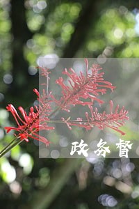 政务督查系统信息回复逾期原因 政务督查系统信息回复逾期原因
