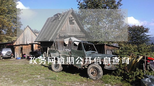 政务网逾期公开信息查询