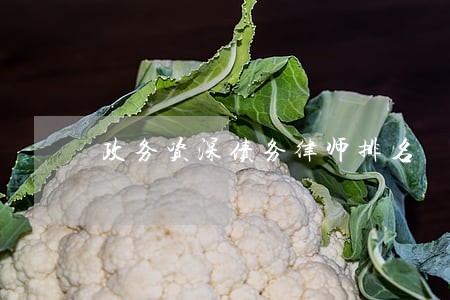 政务资深债务律师排名 政务资深债务律师排名