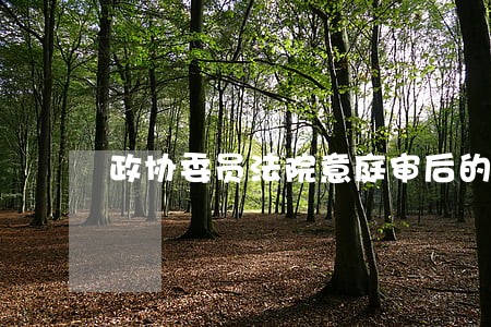 政协委员法院意庭审后的见和建议 政协委员法院意庭审后的见和建议