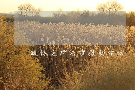政协支持法律援助讲话