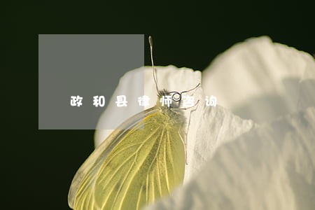 政和县律师咨询 政和县律师咨询