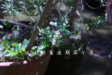 政大财富逾期五个月 政大财富逾期五个月