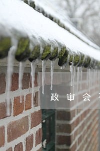 政审会不会查信用卡逾期 政审会不会查信用卡逾期