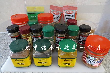 政审信用卡逾期一个月 政审信用卡逾期一个月