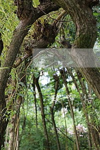 政审信用卡逾期过2个月有影响吗