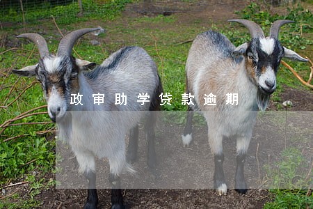政审助学贷款逾期 政审助学贷款逾期