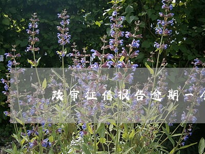 政审征信报告逾期一个月 政审征信报告逾期一个月