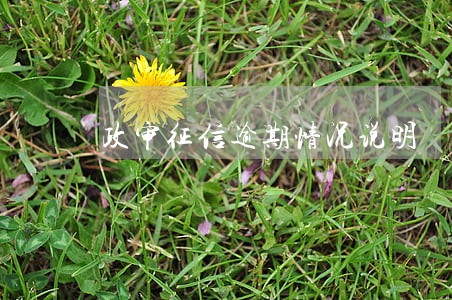 政审征信逾期情况说明
