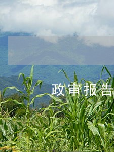 政审报告上有无逾期怎么知道