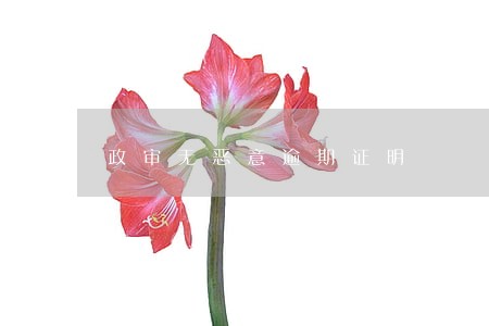政审无恶意逾期证明 政审无恶意逾期证明