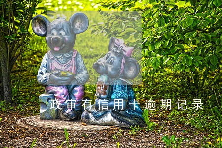 政审有信用卡逾期记录 政审有信用卡逾期记录