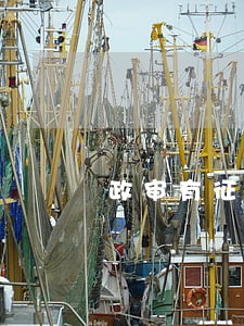 政审有征信逾期记录吗 政审有征信逾期记录吗