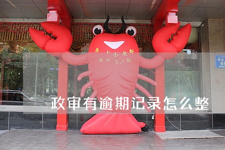 政审有逾期记录怎么整 政审有逾期记录怎么整