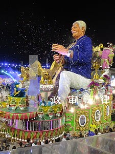 政审法律咨询
