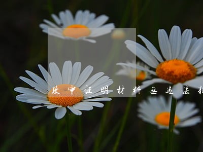 政审证明材料无违法犯罪行为 政审证明材料无违法犯罪行为