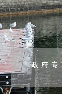 政府专项债券逾期罚息利率计算