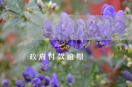 政府付款逾期 政府付款逾期