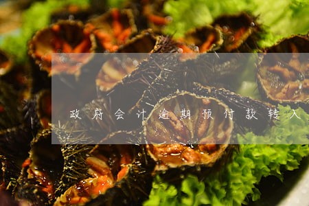 政府会计逾期预付款转入 政府会计逾期预付款转入