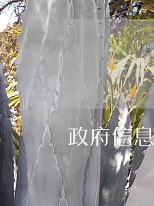 政府信息公开逾期未补正 政府信息公开逾期未补正