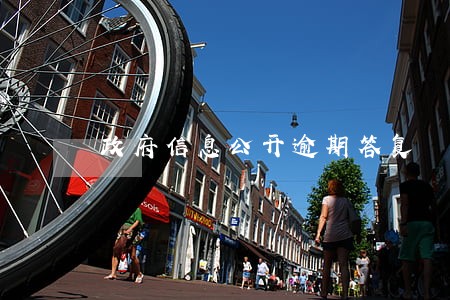 政府信息公开逾期答复 政府信息公开逾期答复