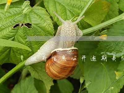 政府信息公开逾期责任 政府信息公开逾期责任