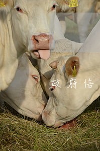 政府信息告知书逾期 政府信息告知书逾期