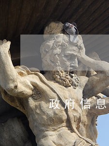 政府信息逾期未公开 政府信息逾期未公开