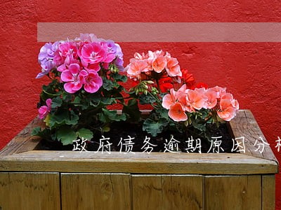 政府债务逾期原因分析 政府债务逾期原因分析
