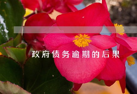 政府债务逾期的后果