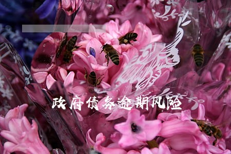 政府债务逾期风险 政府债务逾期风险