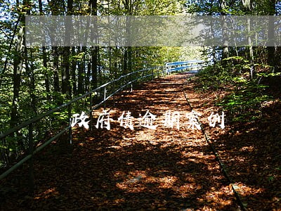 政府债逾期案例