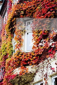 政府党政办会介入信用卡逾期吗