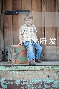 政府发包工程逾期支付工程款