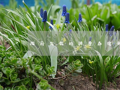 政府发放的消费券逾期未消费 政府发放的消费券逾期未消费