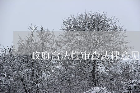 政府合法性审查法律意见书
