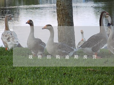 政府回购逾期房贷 政府回购逾期房贷