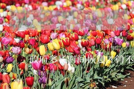 政府多长时间恢复才算不逾期 政府多长时间恢复才算不逾期
