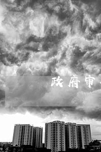 政府审核会审核信用卡逾期吗 政府审核会审核信用卡逾期吗