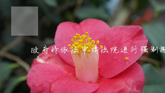 政府将依法申请法院进行强制搬迁 政府将依法申请法院进行强制搬迁
