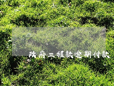 政府工程款逾期付款 政府工程款逾期付款