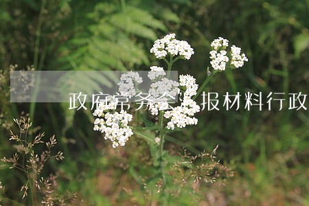 政府常务会汇报材料行政