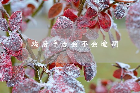 政府平台会不会逾期 政府平台会不会逾期