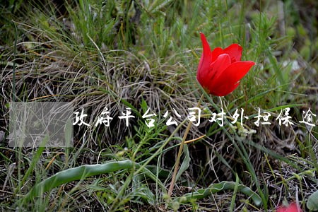政府平台公司对外担保逾期 政府平台公司对外担保逾期